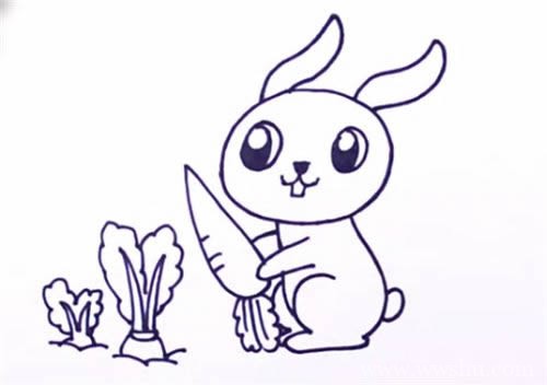 偷萝卜的兔子简笔画如何画 偷萝卜的兔子简笔画步骤图片大全