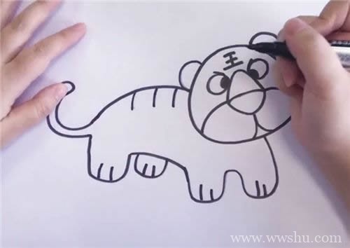 彩色卡通简笔画老虎的画法步骤图 如何画老虎简笔画图片