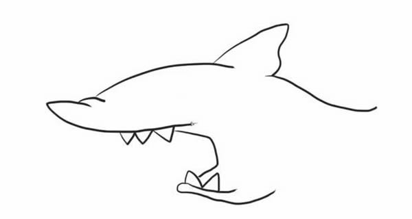 简笔画鲨鱼的画法步骤图 儿童简笔画鲨鱼的画法