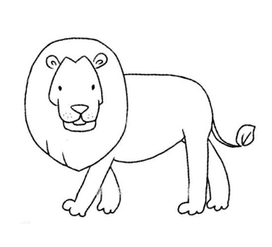 动物的画法：雄狮/狮子简笔画步骤图片