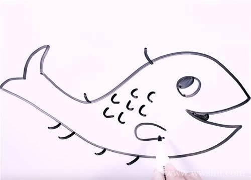 淡水鱼简笔画 手把手教你画淡水鱼简笔画步骤图解