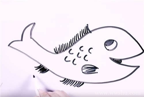 淡水鱼简笔画 手把手教你画淡水鱼简笔画步骤图解