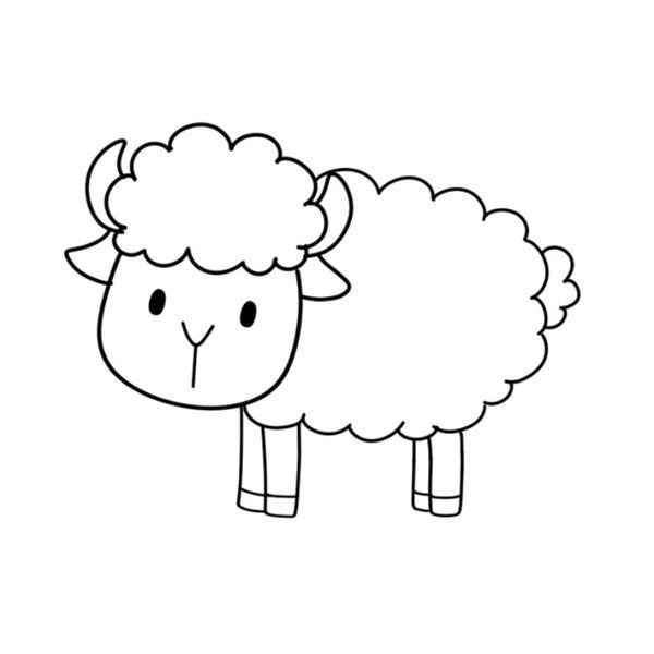 【可爱小绵羊简笔画】可爱小绵羊简笔画步骤图解教程
