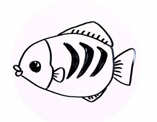【花斑鱼的简笔画】花斑鱼的简笔画步骤图解教程