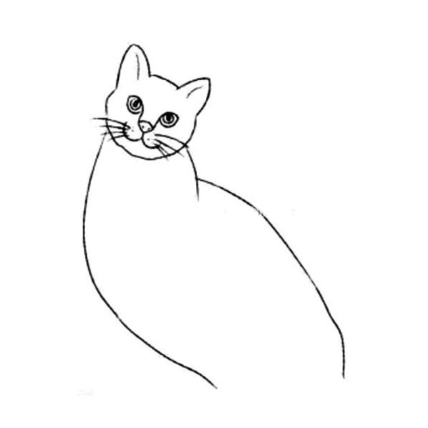 【小猫的简笔画画法步骤】宠物家养短毛猫简笔画步骤图解教程