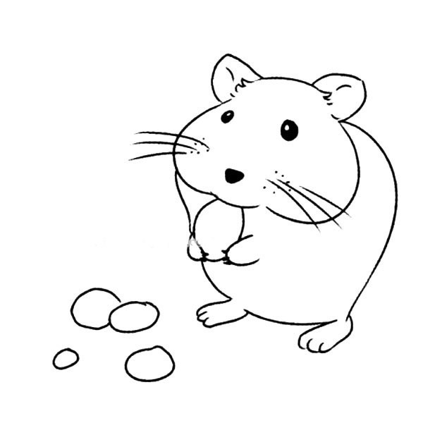 【各种种类的老鼠简笔画大全】地鼠/荷兰鼠/长尾鼠/小白鼠/仓鼠
