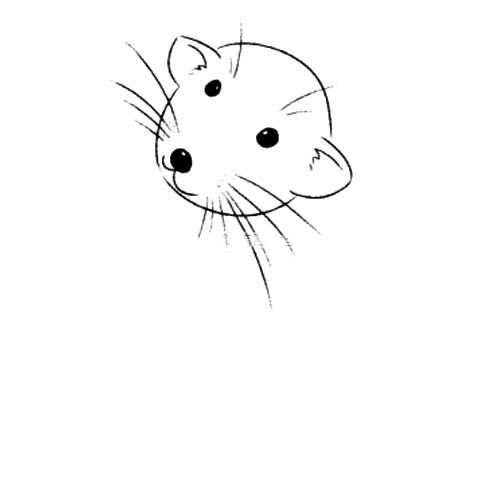 【简笔画老鼠的画法】爱偷吃的老鼠简笔画步骤图解教程