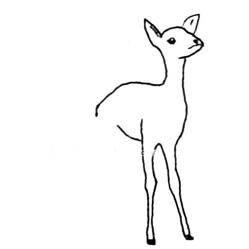 【可爱动物麋鹿简笔画】简笔画麋鹿的画法步骤图解教程
