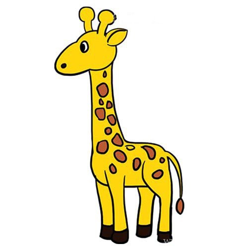 【长颈鹿如何画步骤图】简笔画长颈鹿的画法步骤图解教程