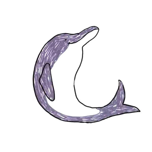 【海豚简笔画】跳跃的海豚简笔画彩色图片