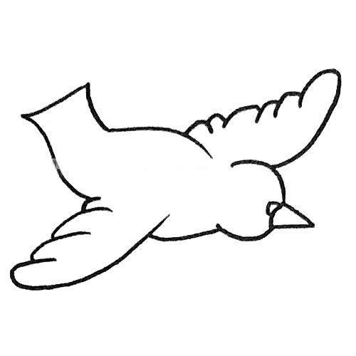 【鸽子简笔画】儿童学画简单的鸽子简笔画步骤图解