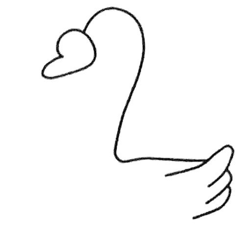 【天鹅简笔画】简单的天鹅简笔画步骤图片大全