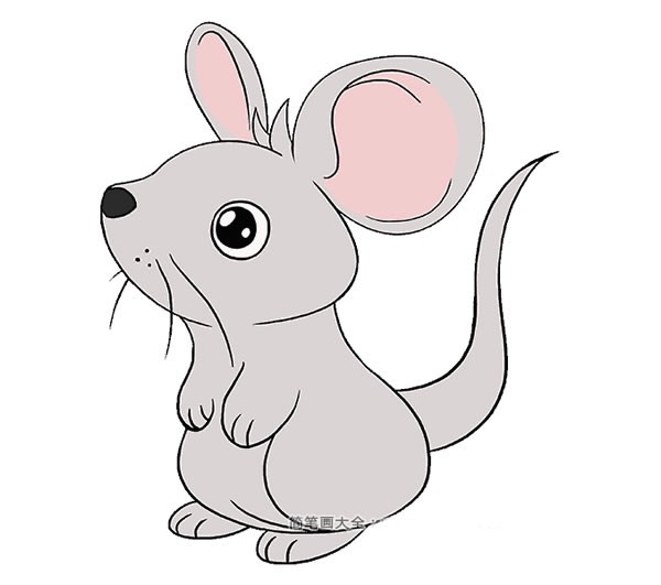 【老鼠简笔画教程】可爱的小老鼠简笔画步骤图片大全