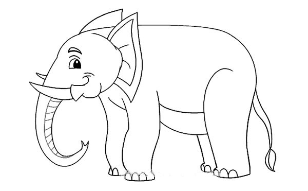 【大象简笔画】可爱的卡通大象简笔画图片大全