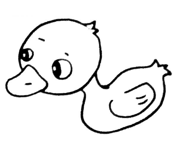 【小鸭子简笔画教程】水里的小鸭子简笔画步骤图片大全