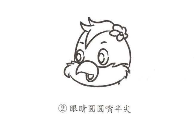【鹦鹉简笔画教程】可爱的卡通鹦鹉简笔画步骤图片大全