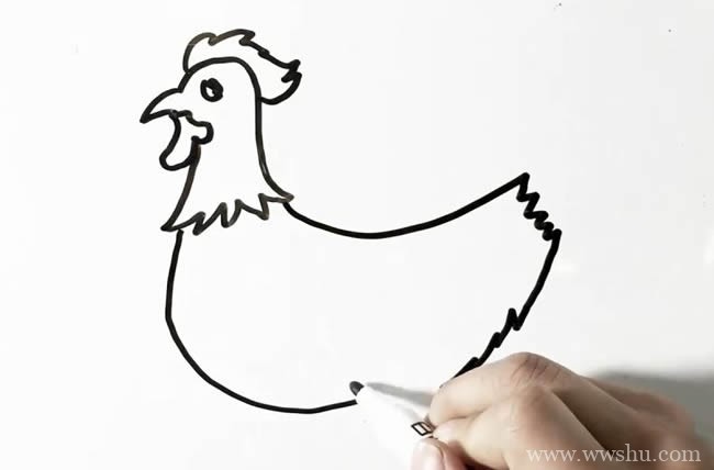 【公鸡简笔画教程】大公鸡简笔画画法步骤图片大全