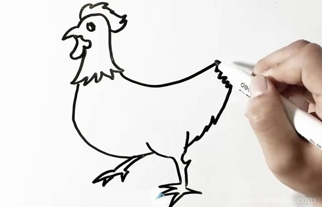 【公鸡简笔画教程】大公鸡简笔画画法步骤图片大全