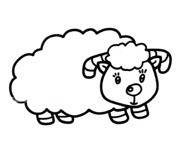 【绵羊简笔画】可爱的小绵羊简单画法
