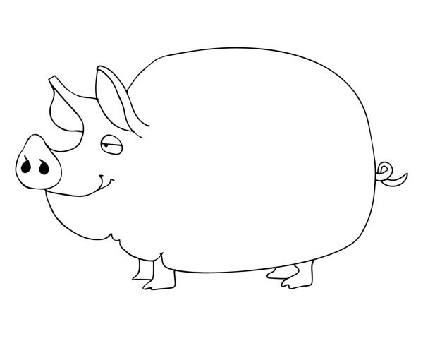 开心的母猪简笔画图片