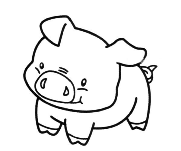 可爱的猪宝宝简笔画