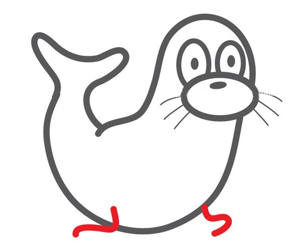 【海豹简笔画】可爱的海豹简笔画步骤图片教程