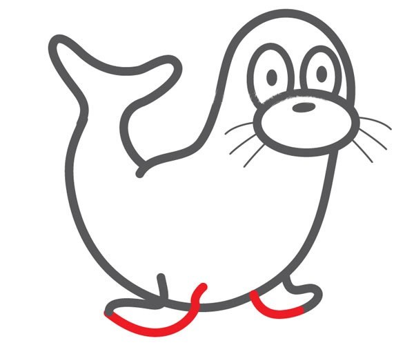 【海豹简笔画】可爱的海豹简笔画步骤图片教程