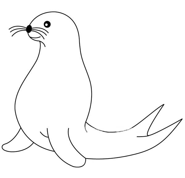 儿童动物简笔画海豹