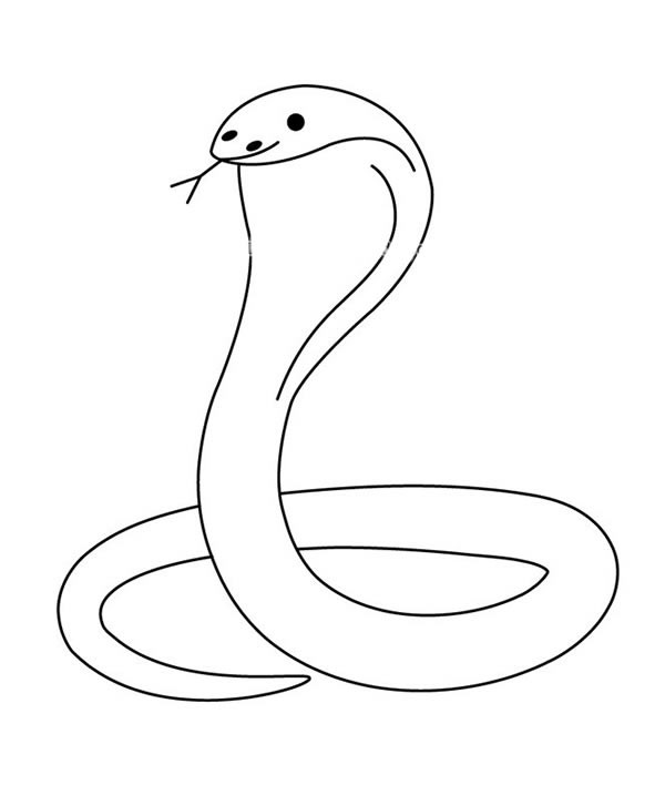 儿童简笔画眼镜蛇的简单画法