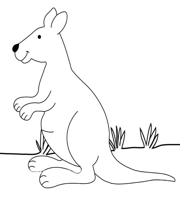 草原上的袋鼠简笔画_袋鼠的简单画法