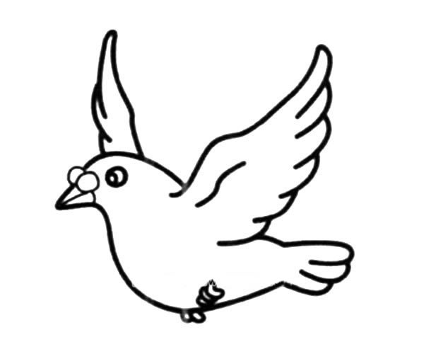 展翅飞翔的鸽子简笔画图片_鸽子的简单画法