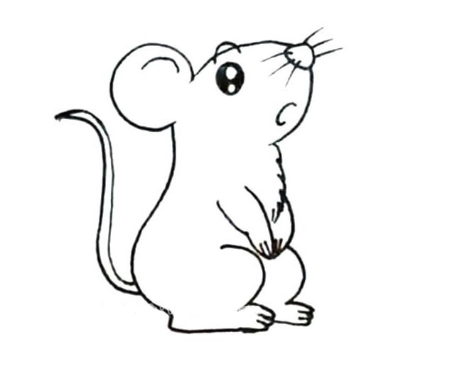 超萌的小老鼠简笔画图片_老鼠的简单画法