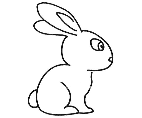 可爱的小兔子简笔画图片大全_6张小兔子的简单画法