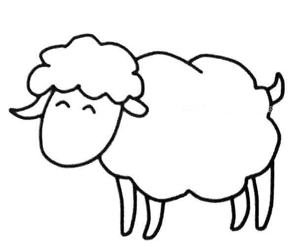 六张可爱的绵羊简笔画图片大全 绵羊的简单画法