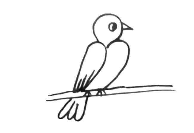 2张小鸟简笔画图片 小鸟的简单画法
