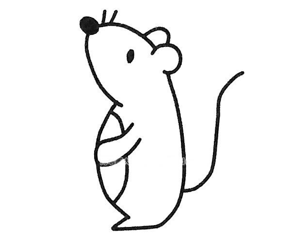 6款可爱的卡通老鼠简笔画图片 简单的老鼠画法大全