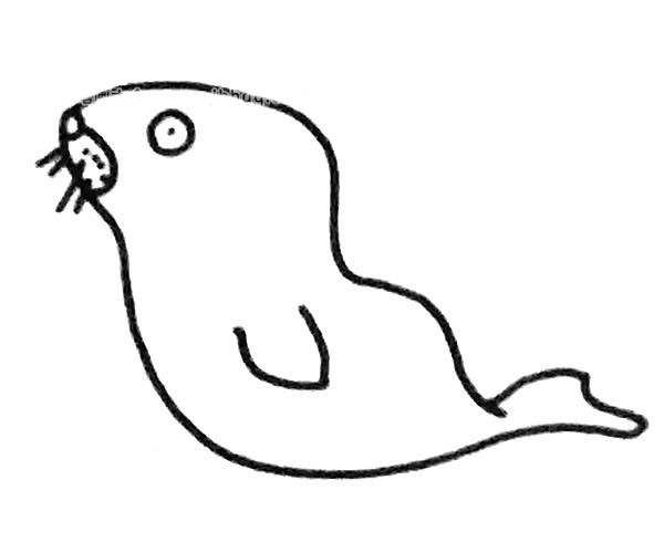 6款可爱的海狮简笔画图片 海狮的简单画法大全
