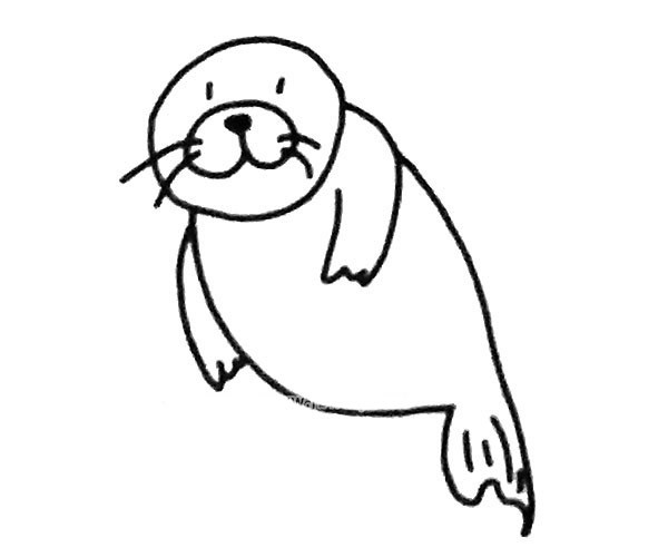 6款可爱的海狮简笔画图片 海狮的简单画法大全