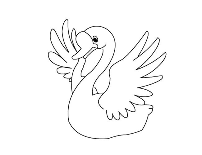 漂亮的大白天鹅简笔画图片 白天鹅的简单画法