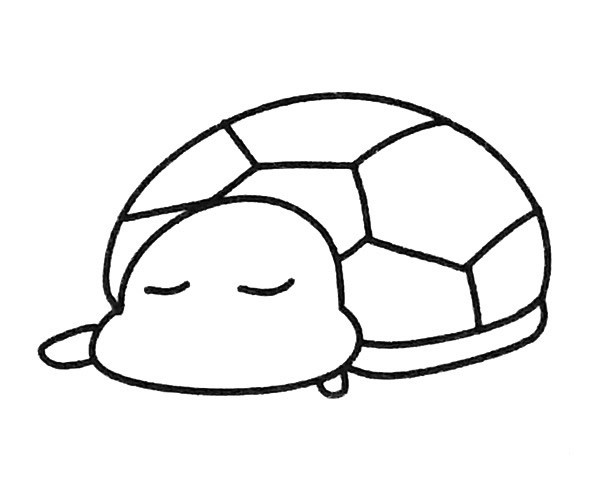 6款卡通乌龟简笔画图片 乌龟的简单画法