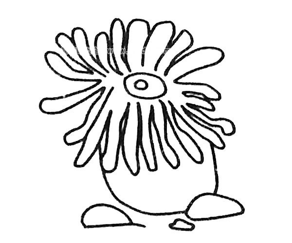 6款卡通海葵简笔画图片 卡通海葵的简单画法大全