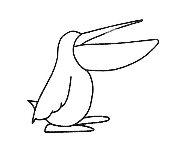 儿童学画鹈鹕简笔画步骤图解 鹈鹕如何画