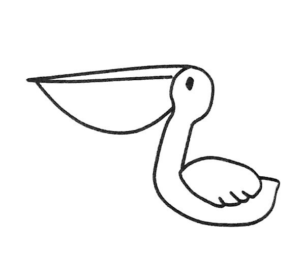 6款漂亮的鹈鹕简笔画图片 鹈鹕的简单画法大全