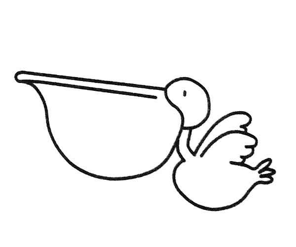 6款漂亮的鹈鹕简笔画图片 鹈鹕的简单画法大全