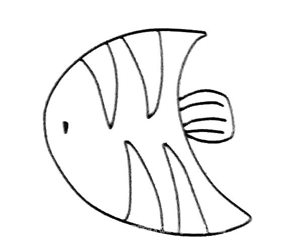 6款可爱的神仙鱼简笔画图片 神仙鱼的简单画法大全