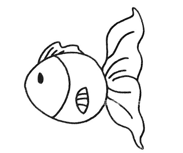 儿童学画孔雀鱼简笔画步骤教程 孔雀鱼如何画