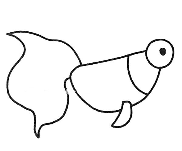 6款卡通金鱼简笔画图片 金鱼的简单画法大全