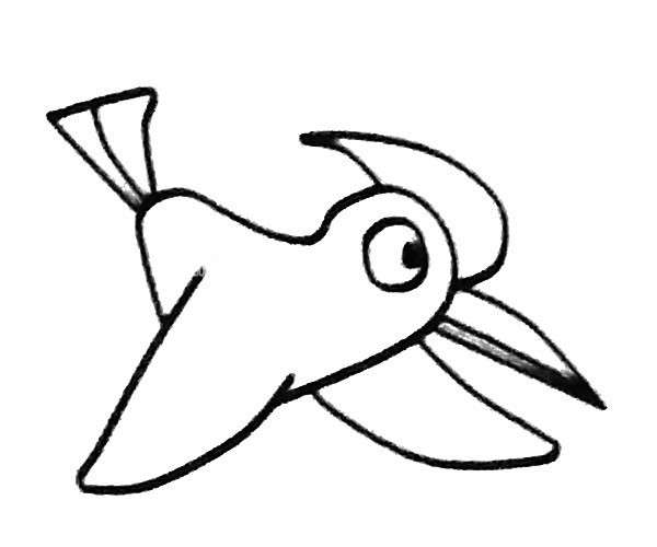 6款啄木鸟简笔画图片 啄木鸟的简单画法大全