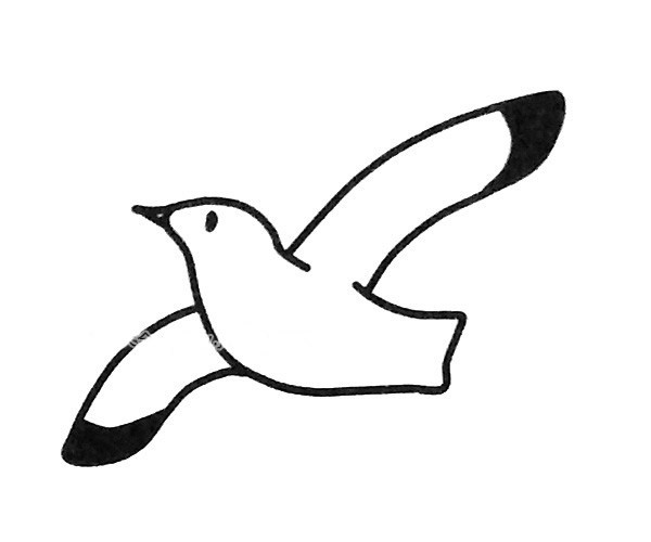 4款可爱的海鸥简笔画图片 海鸥的简单画法大全