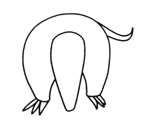 儿童学画食蚁兽简笔画步骤教程 食蚁兽的简单画法